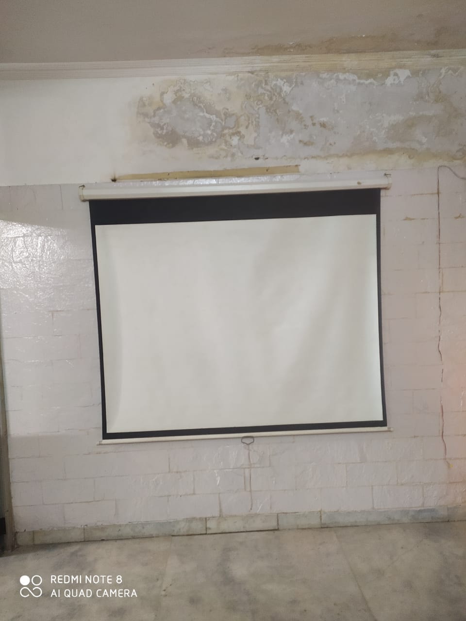 Projection Screens by Dynapro Focus